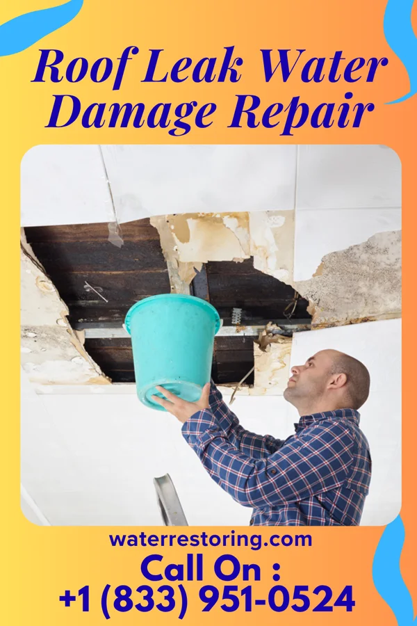 Roof Leak Water Damage Repair in Paris, MO